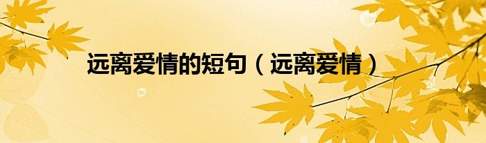远离爱情的短句（远离爱情）