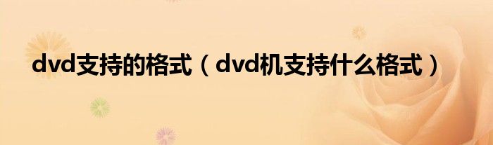 dvd支持的格式（dvd机支持什么格式）