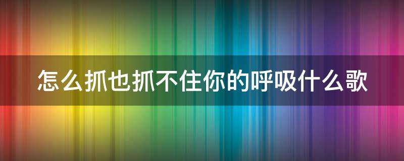 怎么抓也抓不住你的呼吸什么歌
