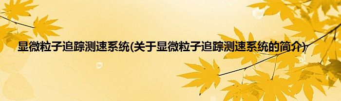 显微粒子追踪测速系统(关于显微粒子追踪测速系统的简介)