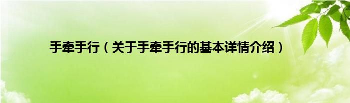 手牵手行（关于手牵手行的基本详情介绍）