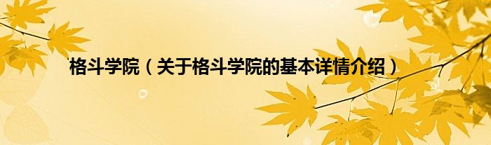 格斗学院（关于格斗学院的基本详情介绍）