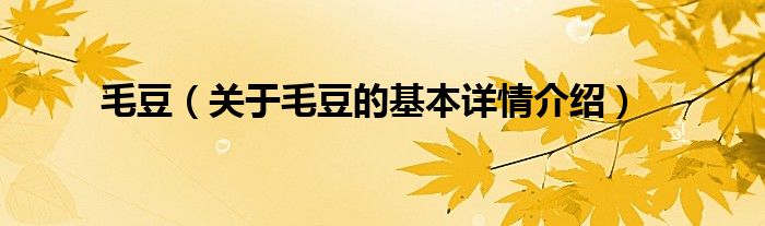毛豆（关于毛豆的基本详情介绍）