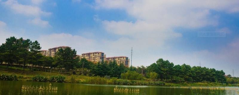 固城是哪个省的城市