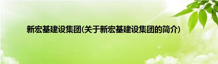 新宏基建设集团(关于新宏基建设集团的简介)