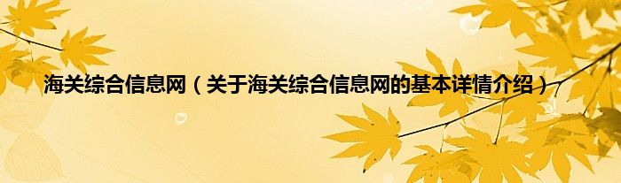 海关综合信息网（关于海关综合信息网的基本详情介绍）