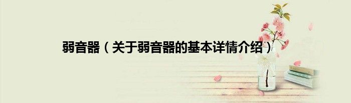 弱音器（关于弱音器的基本详情介绍）