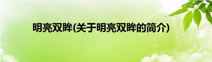 明亮双眸(关于明亮双眸的简介)