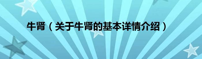 牛肾（关于牛肾的基本详情介绍）