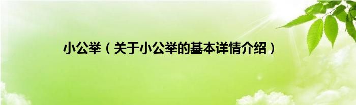小公举（关于小公举的基本详情介绍）