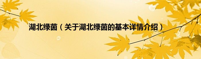 湖北绿茵（关于湖北绿茵的基本详情介绍）