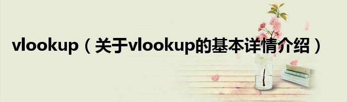 vlookup（关于vlookup的基本详情介绍）