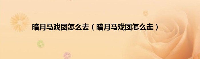 暗月马戏团怎么去（暗月马戏团怎么走）