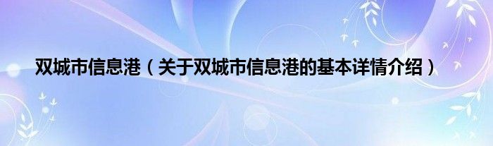 双城市信息港（关于双城市信息港的基本详情介绍）