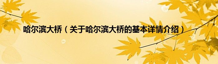 哈尔滨大桥（关于哈尔滨大桥的基本详情介绍）