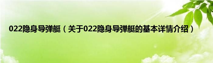 022隐身导弹艇（关于022隐身导弹艇的基本详情介绍）