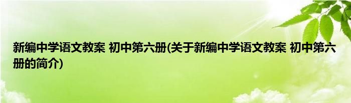 新编中学语文教案 初中第六册(关于新编中学语文教案 初中第六册的简介)