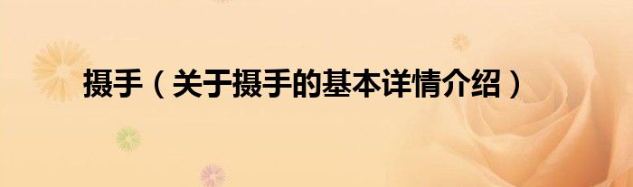 摄手（关于摄手的基本详情介绍）