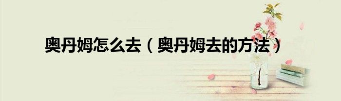 奥丹姆怎么去（奥丹姆去的方法）