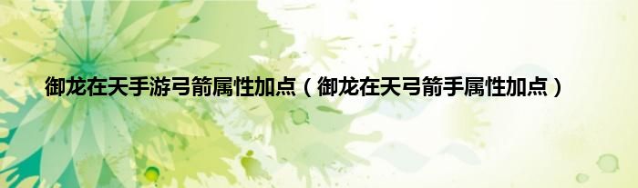 御龙在天手游弓箭属性加点（御龙在天弓箭手属性加点）