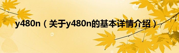 y480n（关于y480n的基本详情介绍）