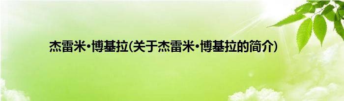杰雷米·博基拉(关于杰雷米·博基拉的简介)