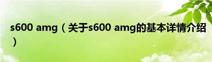 s600 amg（关于s600 amg的基本详情介绍）