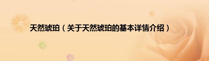 天然琥珀（关于天然琥珀的基本详情介绍）