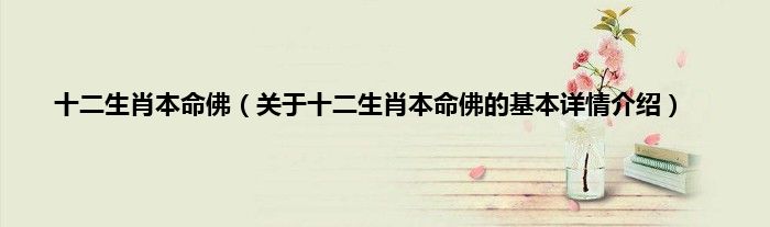 十二生肖本命佛（关于十二生肖本命佛的基本详情介绍）
