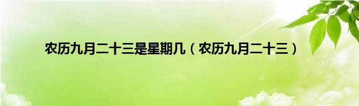 农历九月二十三是星期几（农历九月二十三）