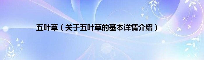 五叶草（关于五叶草的基本详情介绍）