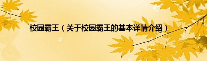 校园霸王（关于校园霸王的基本详情介绍）