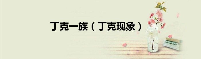 丁克一族（丁克现象）