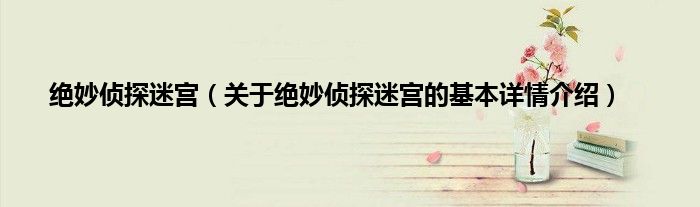 绝妙侦探迷宫（关于绝妙侦探迷宫的基本详情介绍）