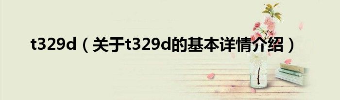 t329d（关于t329d的基本详情介绍）